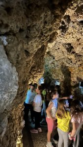 IMG 5033 1