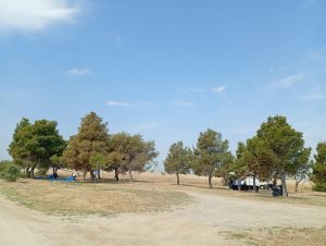 Messenger creation 515F8231 906A 4886 B0C9 A1370D3D8E9C