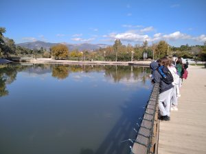 IMG 20211202 120739 1