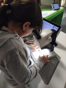 IMG 20250218 110507