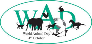 World Animal Day top