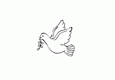 dovedribbble