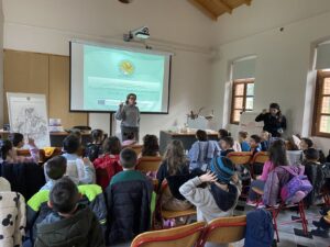 IMG 4891