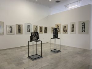 IMG 5705