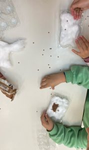 IMG 7775