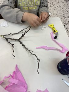 IMG 8926