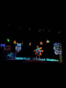 IMG d1ef033cfa9b28ab65019d5b219ab271 V