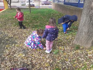 78bcae5f 19b0 4bd6 a630 61fc10df714d