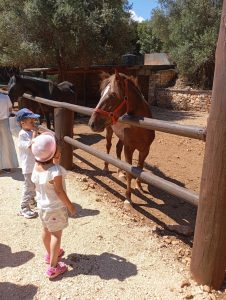 Messenger creation 83375638 021C 418E A9E0 FE9C7B1254B8 1 1