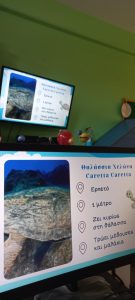 303cd5db 3390 4fd6 a2e9 9ea394480670