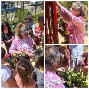 62c2c81b 3aef 49a9 98f2 0ded9cda40f6