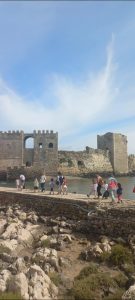 83bae8c1 c111 4203 83d2 d8f82db4c6ab