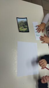 IMG 20231124 094944