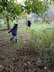 Messenger creation 8A69EBE9 C903 401C B5E8 26A31BA22178