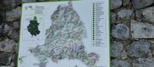 IMG 92bd9b51bb7fc4d261f4fec1796e4971 V