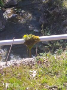 Messenger creation 64e96b2e dd5e 4f04 9d8d 1552a9c84385