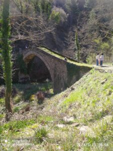 Messenger creation a29fee8b 7efd 4ea3 86f3 f5bbc6fcb30a