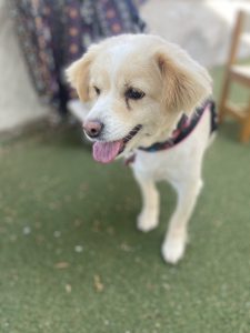 IMG f556dab66fde7f5d2d6bf475fe9dd487 V