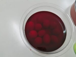 0 02 05 dab5e707c28e153f7aec34b1e838c0fc23ab72ead117c069db18cd363510a9ad 2c188a0ae49e1263