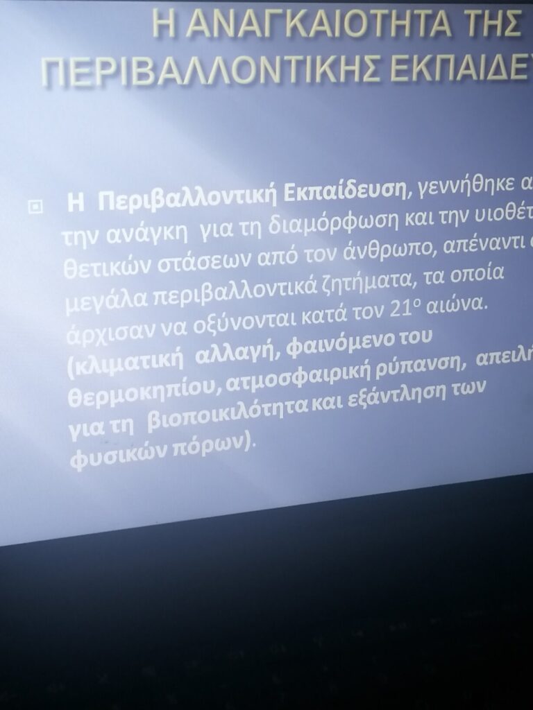 IMG 20241121 175318