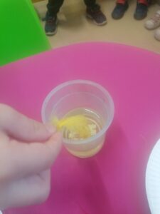 IMG 20250123 095907