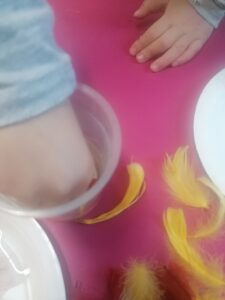 IMG 20250123 100559