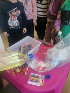 IMG 20250206 093127