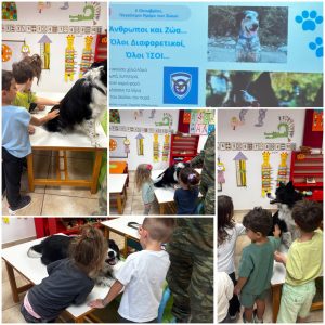 processed B7AD1D11 3AF7 4061 8661 F40EE3B34D5C