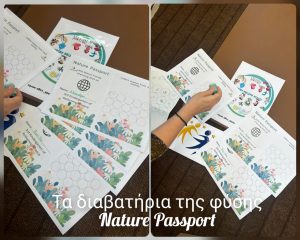 65155098 ca86 42a8 ad2b 28903b02cf23