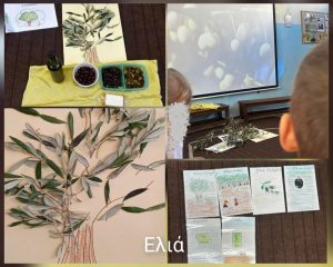 a6b5f492 b420 48e7 b145 36a4ee789611 1