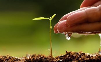 ANF-launches-tree-plantation-campaign-across-country