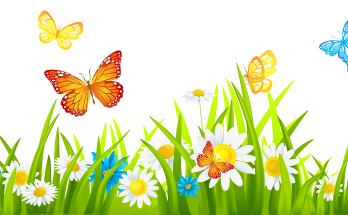 butterfly-garden-small