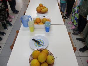 IMG 8692