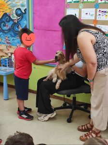 IMG 00380f1be1a44929aa559d2f145fbfae V