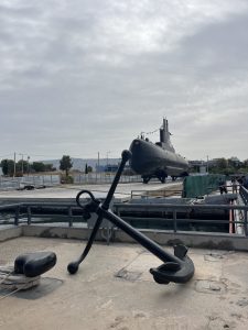 IMG 0536