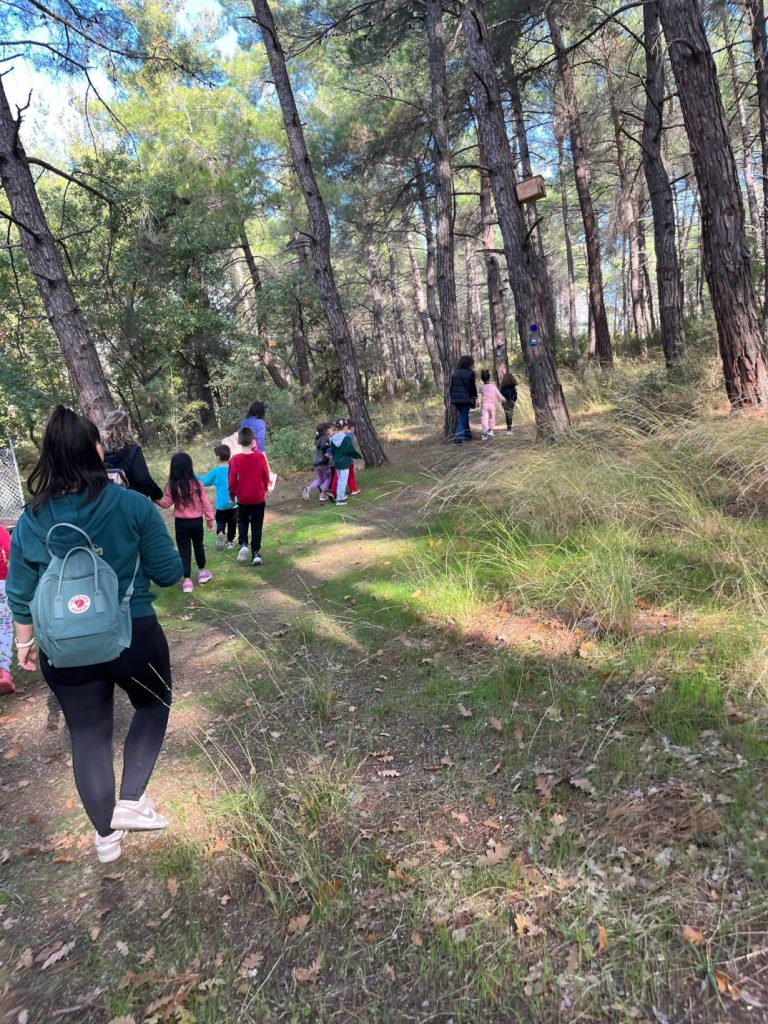 0402f81e 25dc 4080 ab91 aa54ace8ed2b