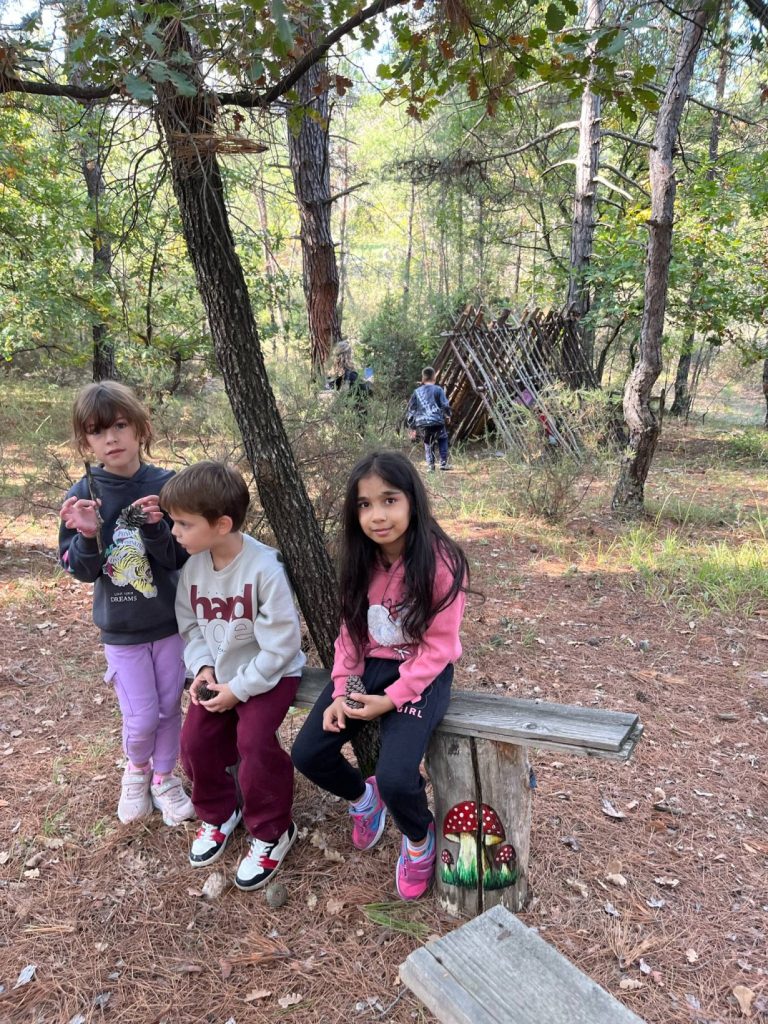 57019615 0396 4843 940d 01cfcbe93620