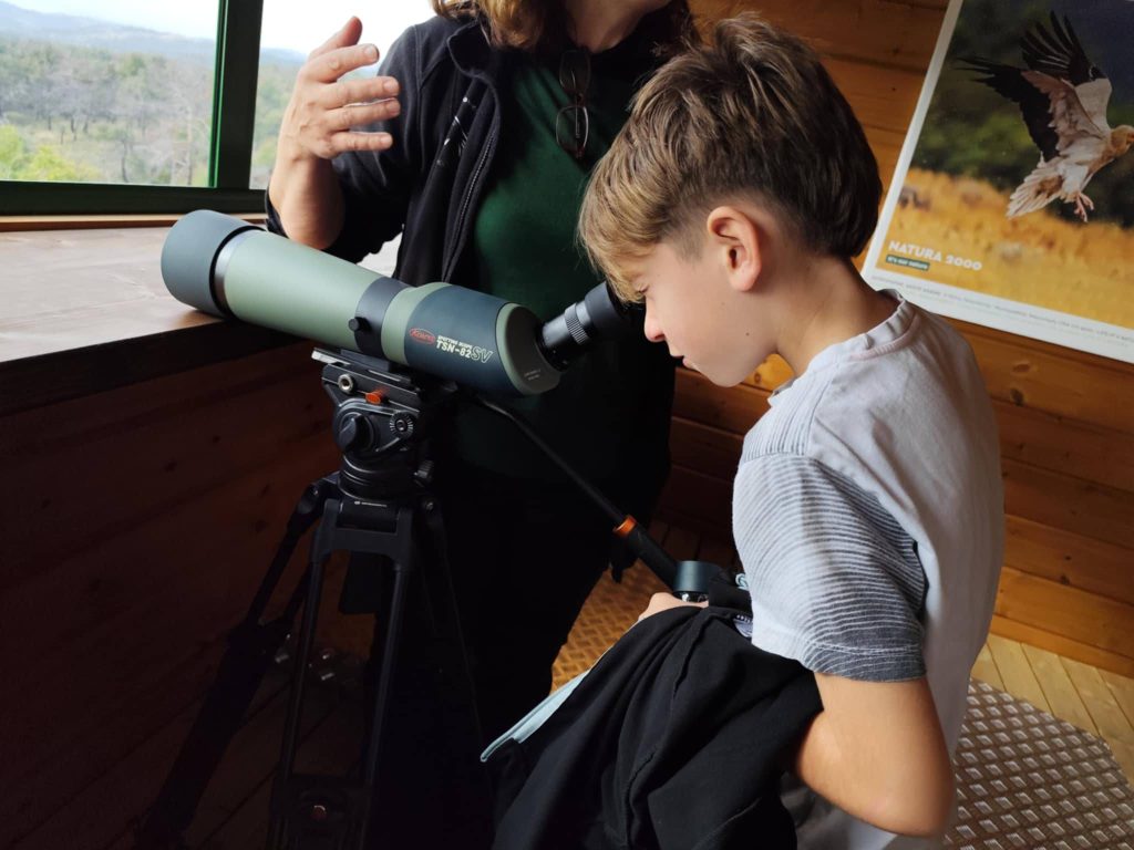 e81cdca4 fe79 45f9 bdff 486e60339784