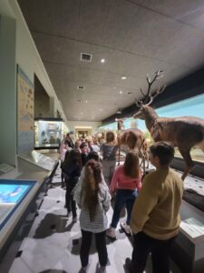 0 02 05 25cbd9916f58ab978d906a021c1f81f9f4d61a7b9352e13c8eaadff16bc80c50 d00bc1b2f73248d0