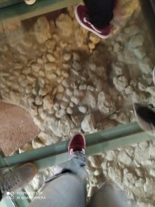 IMG 20211215 201641 086