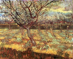 apricot trees in blossom van gogh18881