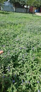 050e1e3f db25 4bb3 9f24 6344b8968d59