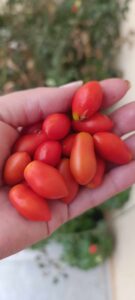 0bfa8356 8924 45ae a1be 358922683f4c Αντιγραφή