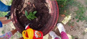 0d743901 b666 4f85 812c c0affec46d4e