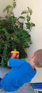 10b82bd9 5baf 40c1 bea1 08dd3b8c0327