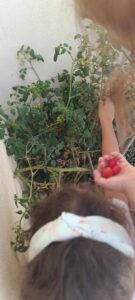 12d4ec2a b2c0 4846 b832 4a56ffb35dbd