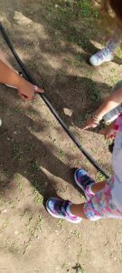 1d6cc56b 1947 483c bd19 3fc96ca45cbb