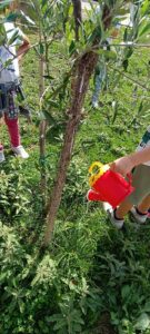 23425cc9 124c 4973 90ec 7b4b70d2bffb