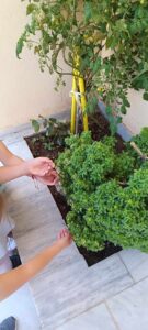 36357c73 e2c1 4d05 ae64 9fb23953c40c 1