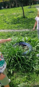 419bd1b0 b1bd 482d bb98 8dc6667f446c